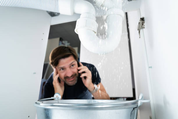 Best Sprinkler Systems  in East Patchogue, NY